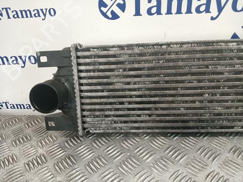 Intercooler radiateur RENAULT MASTER II Bus (JD) 2.5 dCi (JD01, JD02, JD11, JD12, JD1W) | BP30611335M30