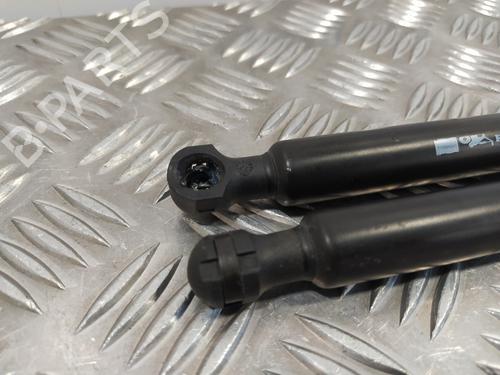 Tailgate lift support RENAULT CLIO IV (BH_)  | BP14358302C138 