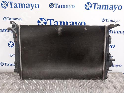 Used Water radiator RENAULT SCÉNIC III (JZ0/1_) [2008-2016]  27672460