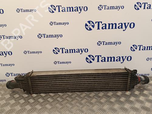 Intercooler AUDI A5 (8T3) 2.0 TDI | BP16544599M30 