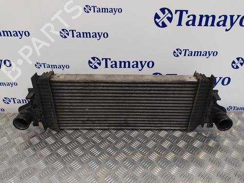Used Intercooler MERCEDES-BENZ M-CLASS (W164) [2005-2012]  21027725