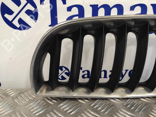 Grille BMW X3 (E83)  | BP12953370C40 