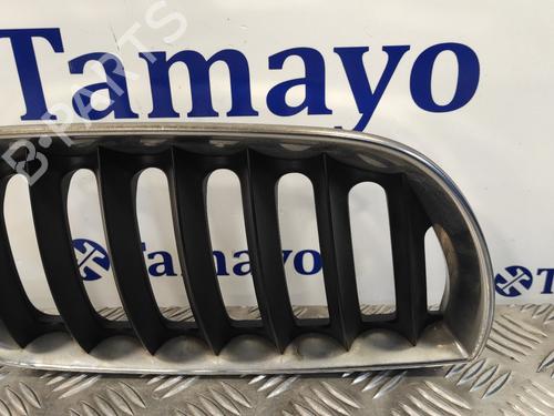 Grille BMW X3 (E83)  | BP12953374C40 