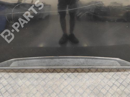 Hood CITROËN C4 Grand Picasso I (UA_) 2.0 HDi 138 | BP10417996C1