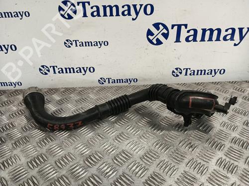 Used Pipe DACIA SANDERO II [2012-2025]  30839352