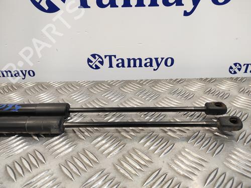 Tailgate lift support SEAT ATECA (KH7, KHP)  | BP16021169C138 