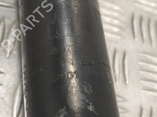 Right front shock absorber DACIA SANDERO II TCe 90 (B8M1, B8MA, B8AC) | BP14368423M17 