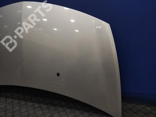 Hood RENAULT CLIO III (BR0/1, CR0/1)  | BP101751C1 