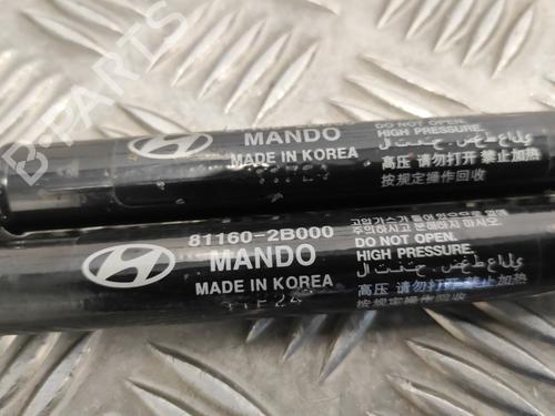 Hood lift support HYUNDAI SANTA FÉ II (CM)  | BP18082234C139 