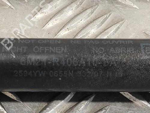 Tailgate lift support FORD S-MAX (WA6) 2.0 TDCi | BP14358702C138 