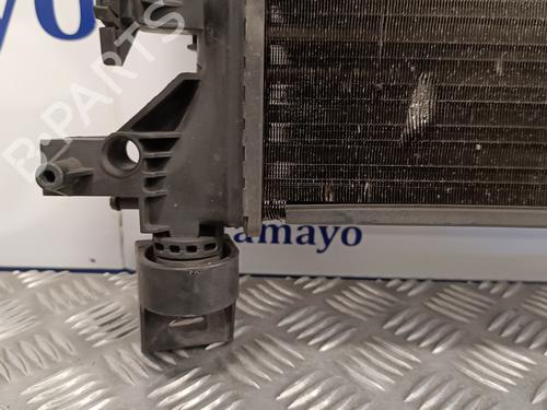Water radiator FIAT DUCATO Van (250_)  | BP15772417M31 