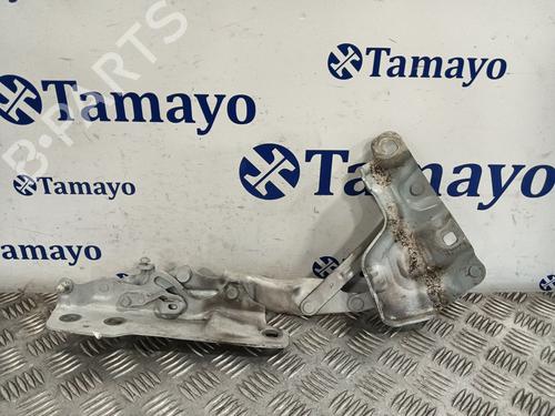 Used Hinge/Door check strap JAGUAR XE (X760) 2.0 D (180 hp) 31190887