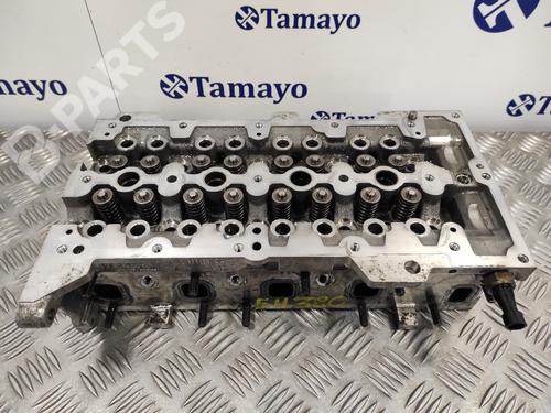 Cylinder head FIAT GRANDE PUNTO (199_)  | BP11789921M5 
