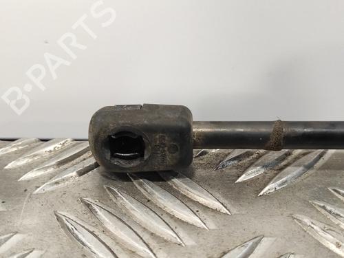 Tailgate lift support CITROËN C4 Picasso I MPV (UD_)  | BP15284817C138 