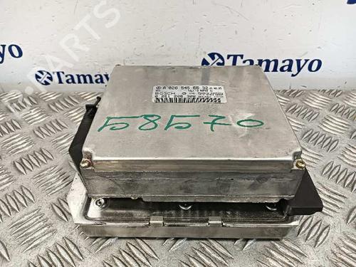 Engine control unit (ECU) MERCEDES-BENZ M-CLASS (W163)  | BP25769875M57 