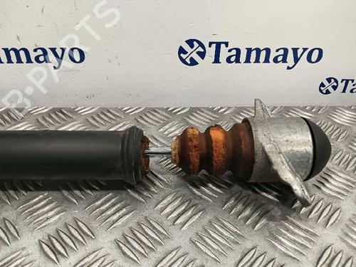 Right rear shock absorber SEAT IBIZA IV (6J5, 6P1)  | BP25596065M19 