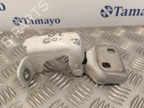 Hinge/Door check strap RENAULT TRAFIC III Van (FG_)  | BP16752328C146 