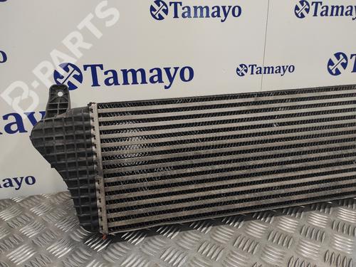 Intercooler VW TRANSPORTER T5 Van (7HA, 7HH, 7EA, 7EH)  | BP11830735M30 