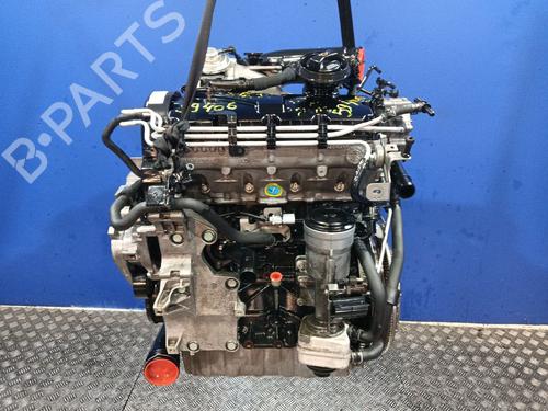 Motor VW GOLF V (1K1) 1.9 TDI (105 hp) 29220091