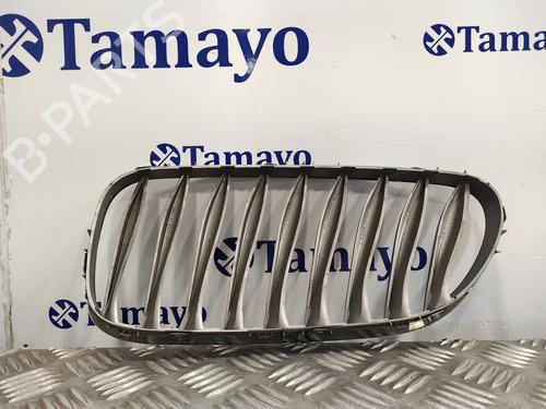 Grille BMW Z4 Roadster (E85)  | BP19647278C40 