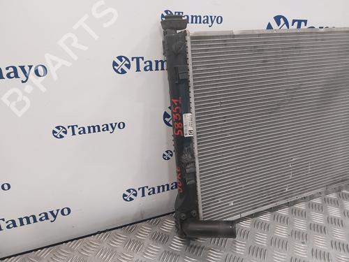 Water radiator NISSAN JUKE (F15)  | BP25472290M31