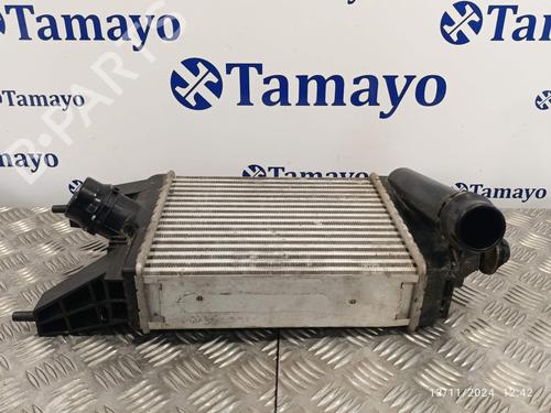 Intercooler NISSAN JUKE (F15)  | BP21176473M30 