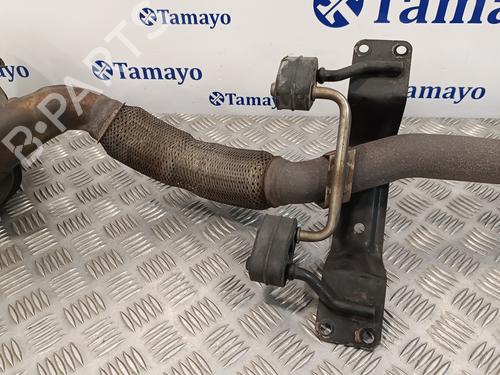Catalyst SEAT IBIZA IV (6J5, 6P1)  | BP16818191M10 