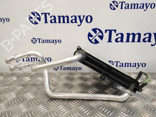 Heater matrix CUPRA FORMENTOR (KM7, KMP) | BP15682224M63