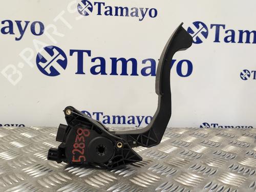 Pedal DACIA SANDERO II 1.5 dCi 75 / Blue dCi 75 (B8JW, B8M4, B8AH, B8M7, B8M6) | BP14358229I4 