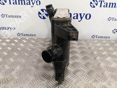 Intercooler NISSAN JUKE (F15)  | BP21176473M30 