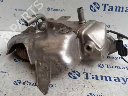 Egr NISSAN QASHQAI I (J10, NJ10) 1.6 dCi | BP14359868M69