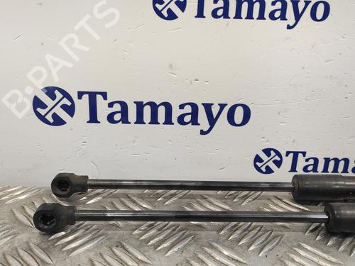 Tailgate lift support RENAULT CLIO IV (BH_)  | BP19341937C138 