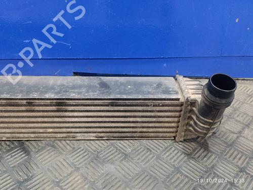 Intercooler RENAULT LAGUNA III (BT0/1)  | BP20490070M30 
