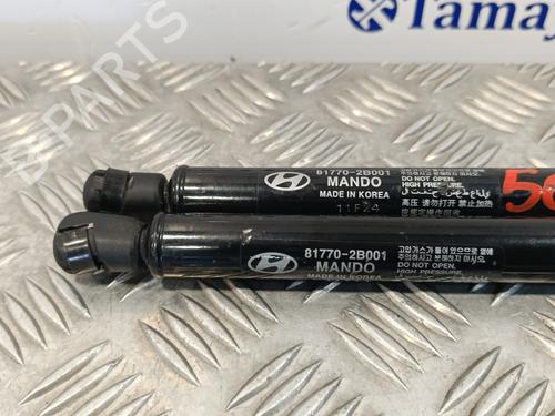 Tailgate lift support HYUNDAI SANTA FÉ II (CM)  | BP18082233C138 
