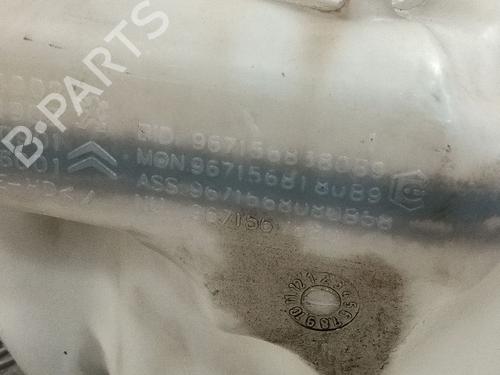 Sprinklertank CITROËN BERLINGO MULTISPACE (B9) 1.2 PureTech 110 | BP32015065C113