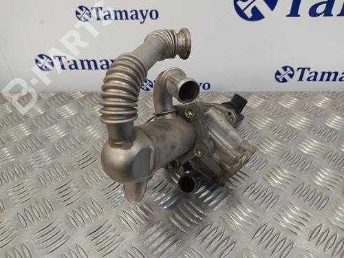 Egr FIAT GRANDE PUNTO (199_)  | BP10660061M69 
