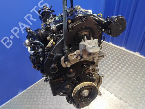 Engine FORD ECOSPORT 1.5 TDCi | BP40088358M1 - Image 7