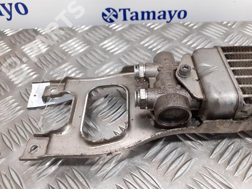 Oil radiator MERCEDES-BENZ B-CLASS Sports Tourer (W245)  | BP9203078M33 