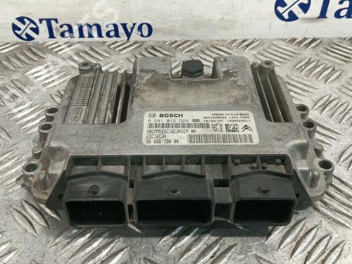 Used Engine control unit (ECU) PEUGEOT 206 Hatchback (2A/C) 1.4 HDi eco 70 (68 hp) 31824237