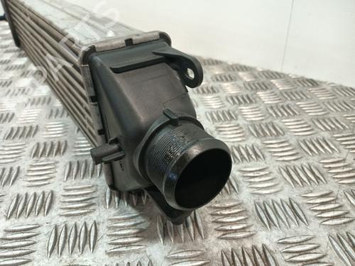 Intercooler FIAT DOBLO Cargo (263_) 1.3 D Multijet | BP35954363M30 - Image 3