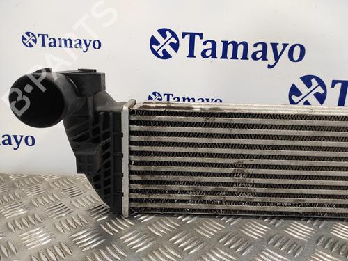 Intercooler RENAULT VEL SATIS (BJ0_) 2.2 dCi (BJ0E, BJ0F) | BP17447427M30 