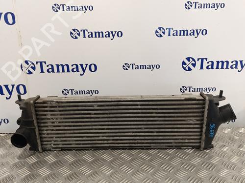Used Intercooler RENAULT TRAFIC II Van (FL) [2001-2025]  19085089
