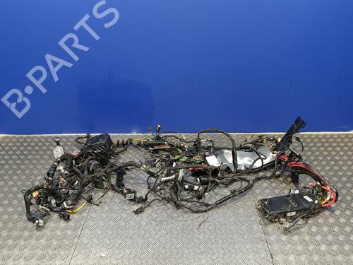 Used Wiring harness FORD TRANSIT V363 Van (FCD, FDD) [2013-2025]  16360623