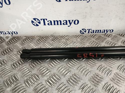 Tailgate lift support SEAT TOLEDO III (5P2) | BP31191510C138