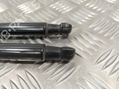 Tailgate lift support BMW 1 (F20)  | BP14358130C138