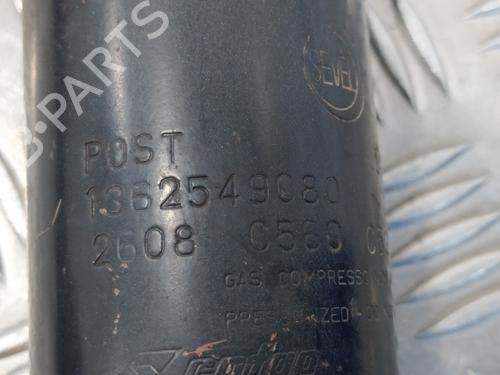 Right rear shock absorber FIAT DUCATO Van (250_)  | BP13246851M19 