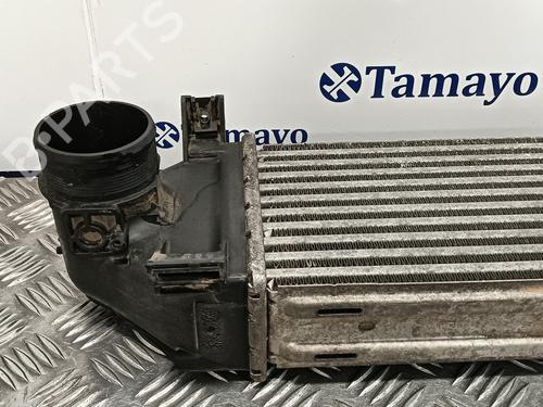 Intercooler LAND ROVER FREELANDER 2 (L359)  | BP13898048M30 