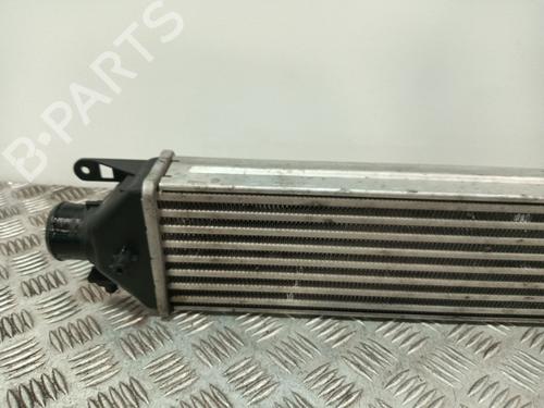 Intercooler FIAT DOBLO Cargo (263_) 1.3 D Multijet | BP35954363M30 - Image 4