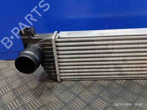 Intercooler OPEL MOVANO B Van (X62)  | BP27403332M30 