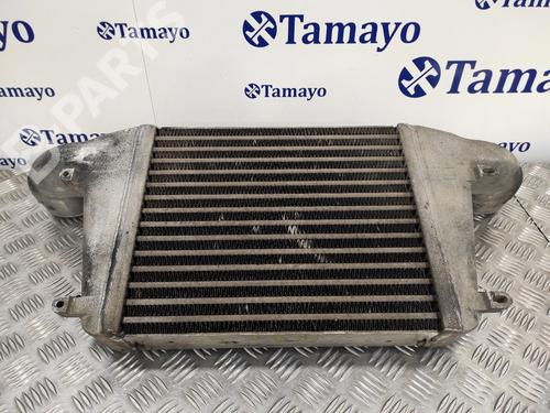 Intercooler NISSAN CABSTAR E (TL_, VL_) 105.35, 110.35, 110.45 (TL0) | BP10726563M30 